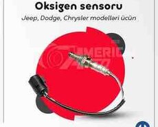 Oxygen sensorları