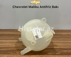 Chevrolet Malibu antifriz Bakı
