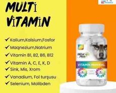 Multi vitamin Bestplus