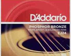 Akustik gitara simi Daddario phosphor bronze