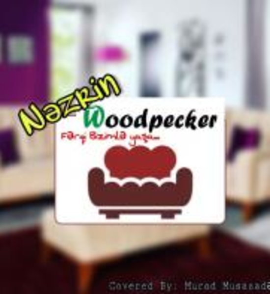 Nəzrin WOODPECKER Mebel Salonu