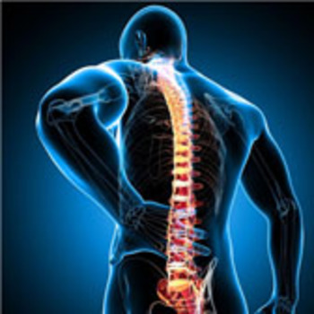 Həkim-nevroloq Dr.Saida Damirova